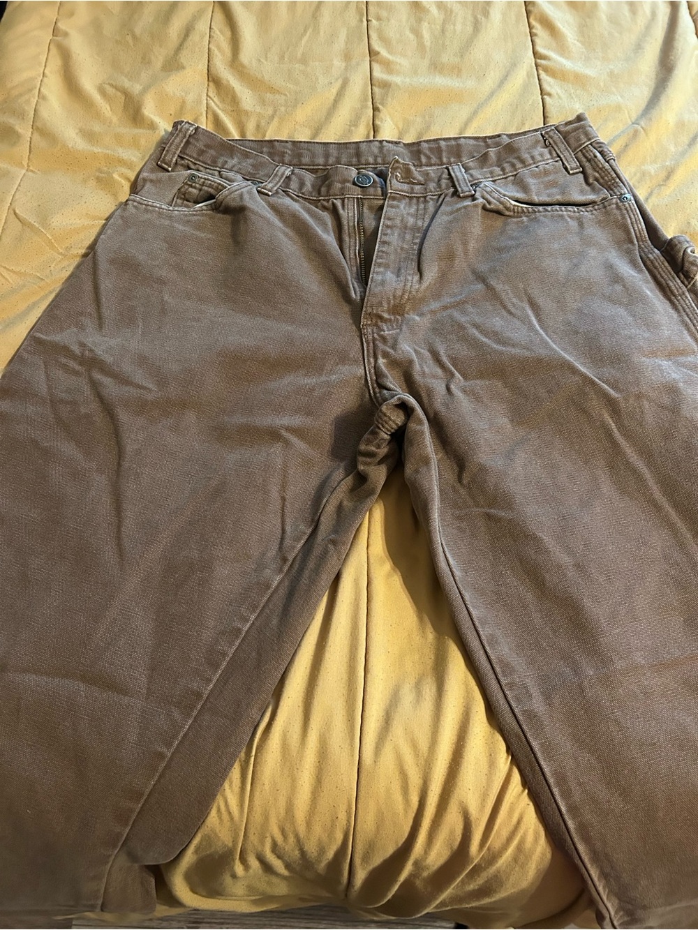 Dickies Men’s Carpenter Canvas Pants